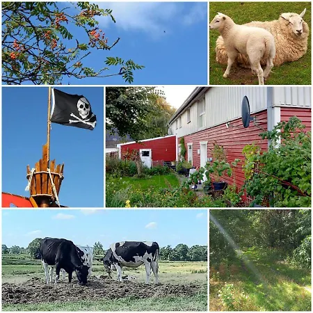 Piratennest Nord * 博德卢姆